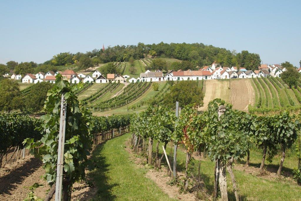 Gaestehaus Weinviertel - Niederoesterreich Siebenhirten Esterno foto